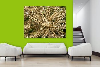 Papier peint : arbuste blanc - format paysage 4:3 - nombreuses tailles et matériaux - motif d'art photographique exclusif sous forme d'image sur toile ou d'image en verre acrylique pour la décoration murale 6