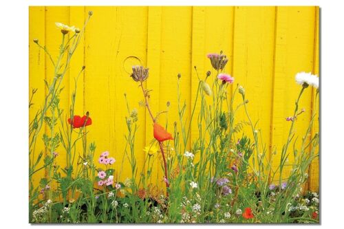 Wandbild: Wildblumen vor gelber Wand - Querformat 4:3 - viele Größen & Materialien – Exklusives Fotokunst-Motiv als Leinwandbild oder Acrylglasbild zur Wand-Dekoration