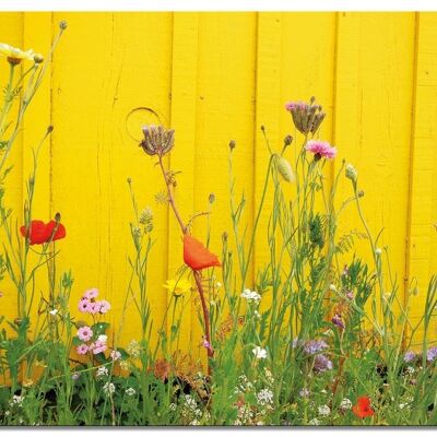 Wandbild: Wildblumen vor gelber Wand - Querformat 4:3 - viele Größen & Materialien – Exklusives Fotokunst-Motiv als Leinwandbild oder Acrylglasbild zur Wand-Dekoration