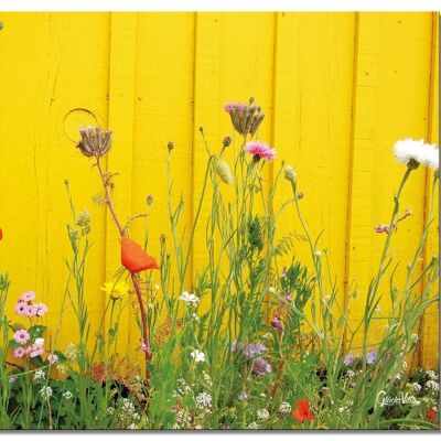 Wandbild: Wildblumen vor gelber Wand - Querformat 4:3 - viele Größen & Materialien – Exklusives Fotokunst-Motiv als Leinwandbild oder Acrylglasbild zur Wand-Dekoration