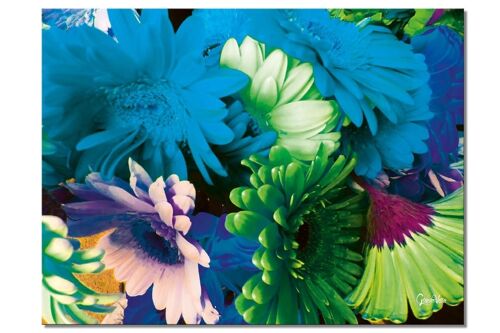 Wandbild: Beautyful flowers - Querformat 4:3 - viele Größen & Materialien – Exklusives Fotokunst-Motiv als Leinwandbild oder Acrylglasbild zur Wand-Dekoration