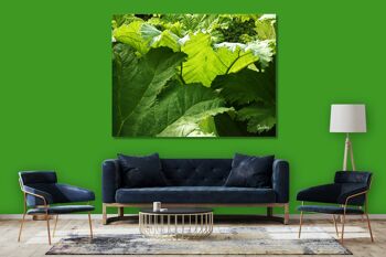 Image murale : Forêt de feuilles 2 - format paysage 4:3 - nombreuses tailles et matériaux - motif d'art photographique exclusif sous forme d'image sur toile ou d'image en verre acrylique pour la décoration murale 13