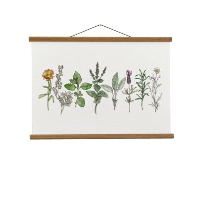 Illustration botanique : Herbes curatives A4 (Paysage) Giclée Art Print