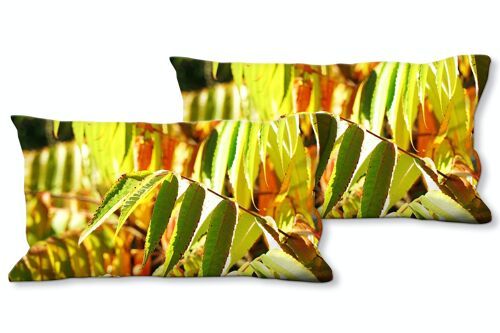 Buy wholesale Decorative photo cushion set (2 pieces), motif: colorful  autumn leaves - size: 80 x 40 cm - premium cushion cover, decorative  cushion, decorative cushion, photo cushion, cushion cover