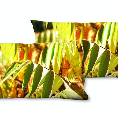 Set di cuscini decorativi con foto (2 pezzi), motivo: foglie autunnali colorate - dimensioni: 80 x 40 cm - fodera per cuscino premium, cuscino decorativo, cuscino decorativo, cuscino fotografico, fodera per cuscino