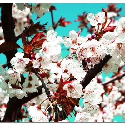 Papier peint : Fleur de cerisier de style japonais 2 - plusieurs tailles - format paysage 4:3 - plusieurs tailles et matériaux - motif d'art photo exclusif sous forme de toile ou d'image en verre acrylique pour la décoration murale