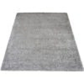 Vloerkleed Buddy Gris 200 x 280 cm 1