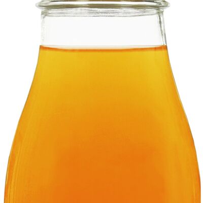 Entgiftender Aufguss – Apfel-Zitrone-Karotte-Ingwer-Rosmarin 25cl