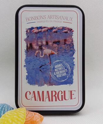 BOITE METALLIQUE REGION CAMARGUE-90G