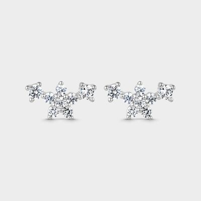 Boucles d'oreilles en argent avec zircons blancs