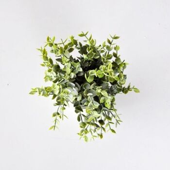 Destockage- 30% - Pot de feuillage vert D7 x H18 cm  - Plante artificielle 2