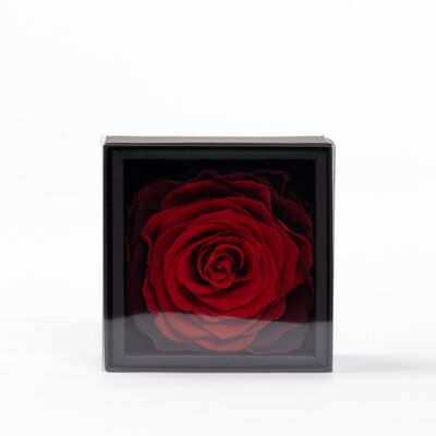 Ecrin / Box une rose rouge taille XXL préservée - Carte personnalisable - Cadeau Chic et éternel  Collection Un secret "My Love"