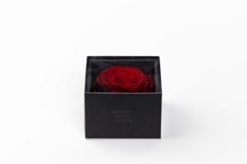 Ecrin / Box une rose rouge taille XXL préservée - Carte personnalisable - Cadeau Chic et éternel  Collection Un secret "My Love" 5