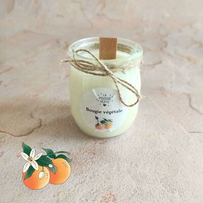 Orange blossom scented candle in vegetable wax