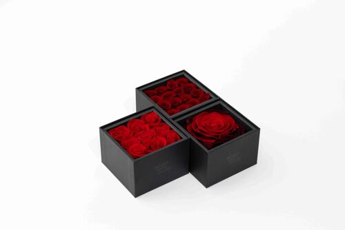 Ecrin / Box avec 16 roses rouges préservées - Carte personnalisable - Cadeau Chic et éternel  Collection Un secret "My Love"