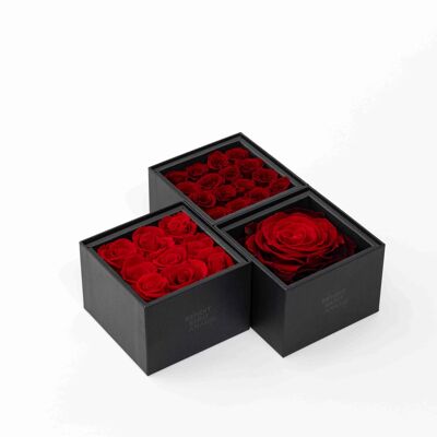 Estuche/Caja con 16 rosas rojas preservadas - Tarjeta personalizable 6 Colección Regalo chic y eterno Un secreto "Mi Amor"