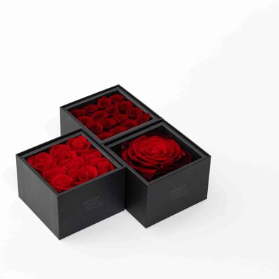 Estuche/Caja con 16 rosas rojas preservadas - Tarjeta personalizable 6 Colección Regalo chic y eterno Un secreto "Mi Amor"