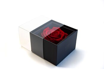 Ecrin / Box une rose rouge préservée  - Carte personnalisable - Cadeau Chic et éternel - Collection Un secret "My Love" 4