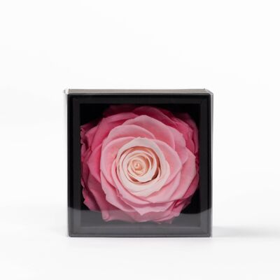 Case / Box an XXL size preserved red rose - Customizable card - Chic and eternal gift Un secret "My Beauty" collection