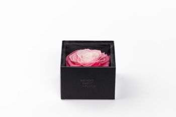 Ecrin / Box une rose rouge taille XXL préservée - Carte personnalisable - Cadeau Chic et éternel  Collection Un secret "My Beauty" 4