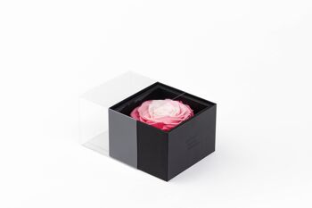 Ecrin / Box une rose rouge taille XXL préservée - Carte personnalisable - Cadeau Chic et éternel  Collection Un secret "My Beauty" 6