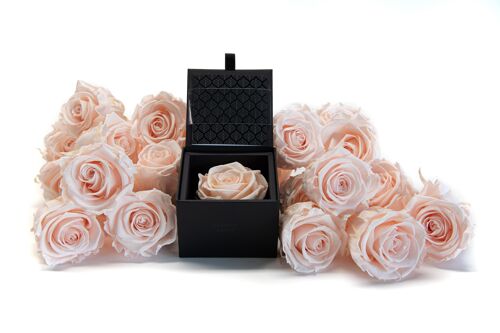 Ecrin / Box une rose rose poudrée préservée - Carte personnalisable - Cadeau Chic et éternel  Collection Un secret "My Beauty"