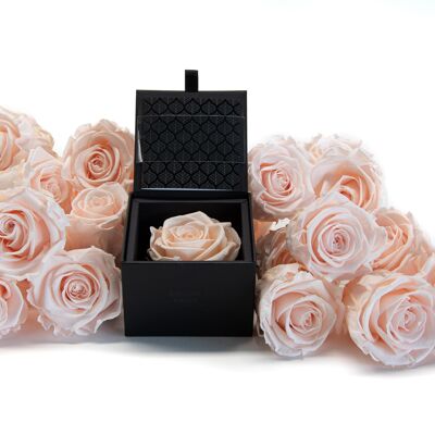 Case / Box of a preserved powdered pink rose - Customizable card - Chic and eternal gift Un secret "My Beauty" collection