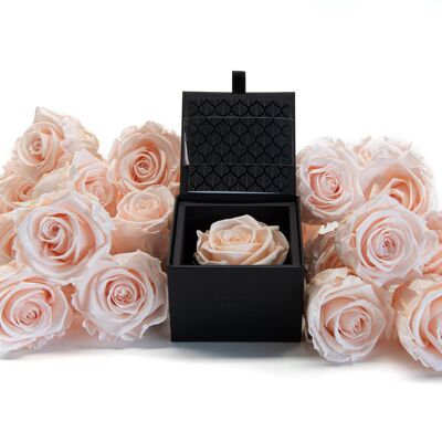 Estuche / Caja de una rosa rosa preservada en polvo - Tarjeta personalizable - Regalo chic y eterno Colección Un secret "My Beauty"
