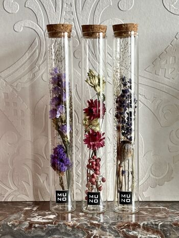 20 cm tube with compositions of dried flowers 4