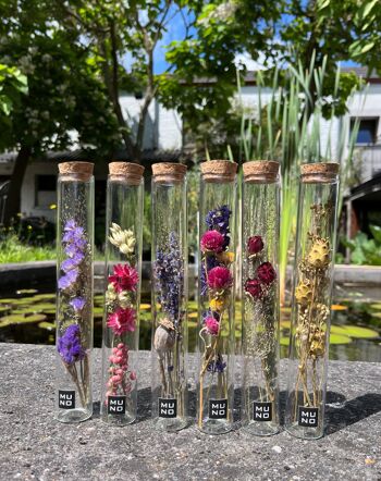 20 cm tube with compositions of dried flowers 2