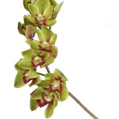 Orquídea Cymbidium Léanne Verde Artificial Alt. 70cm