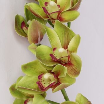 Orchidée Cymbidium Léanne Vert Artificielle H 70cm 2