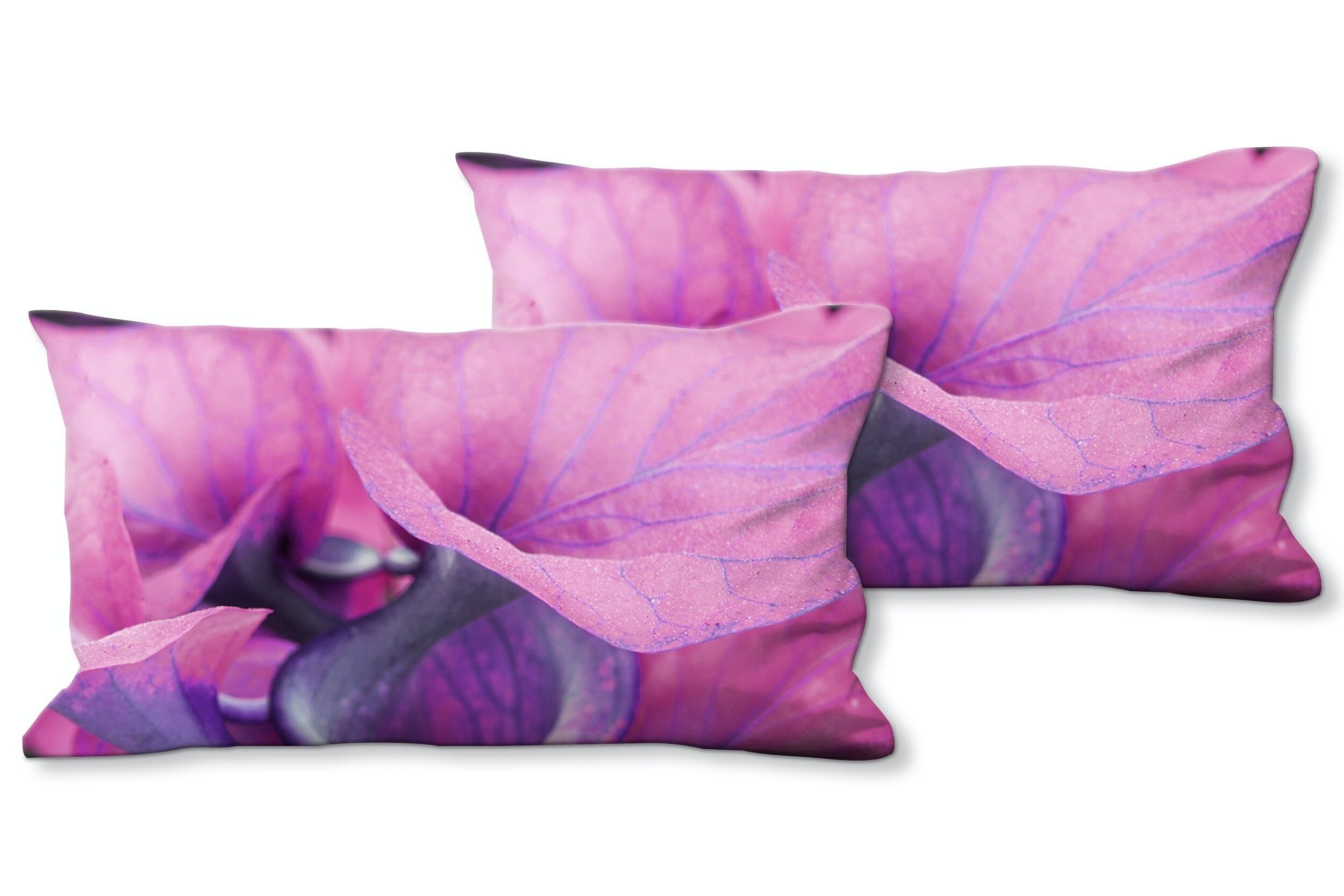 Deko-Foto-Kissen Set (2 Stk.), Motiv: Calla-Blüten Romantik 3 - Größe: 80 x 40 cm - Premium Kissenhülle, Zierkissen, Dekokissen, Fotokissen, Kissenbezug