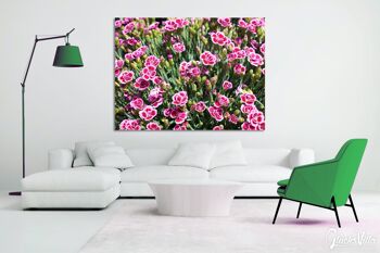 Papier peint : Princesse œillet rose bisous - plusieurs tailles - format paysage 4:3 - plusieurs tailles et matériaux - motif d'art photo exclusif comme image sur toile ou image en verre acrylique pour la décoration murale 5