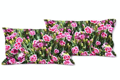 Deko-Foto-Kissen Set (2 Stk.), Motiv: Prinzess-Nelke pink Kisses - Größe: 80 x 40 cm - Premium Kissenhülle, Zierkissen, Dekokissen, Fotokissen, Kissenbezug