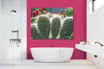 Papier peint : Monde de cactus cactus à 5 oreilles - plusieurs tailles - format paysage 4:3 - plusieurs tailles et matériaux - motif d'art photo exclusif sous forme de toile ou d'image en verre acrylique pour la décoration murale 2