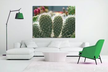 Papier peint : Monde de cactus cactus à 5 oreilles - plusieurs tailles - format paysage 4:3 - plusieurs tailles et matériaux - motif d'art photo exclusif sous forme de toile ou d'image en verre acrylique pour la décoration murale 4