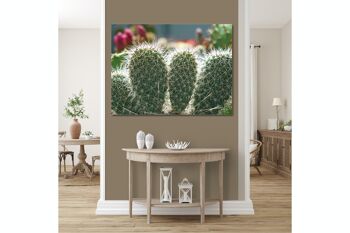 Papier peint : Monde de cactus cactus à 5 oreilles - plusieurs tailles - format paysage 4:3 - plusieurs tailles et matériaux - motif d'art photo exclusif sous forme de toile ou d'image en verre acrylique pour la décoration murale 5