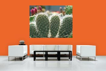 Papier peint : Monde de cactus cactus à 5 oreilles - plusieurs tailles - format paysage 4:3 - plusieurs tailles et matériaux - motif d'art photo exclusif sous forme de toile ou d'image en verre acrylique pour la décoration murale 6