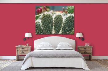 Papier peint : Monde de cactus cactus à 5 oreilles - plusieurs tailles - format paysage 4:3 - plusieurs tailles et matériaux - motif d'art photo exclusif sous forme de toile ou d'image en verre acrylique pour la décoration murale 9