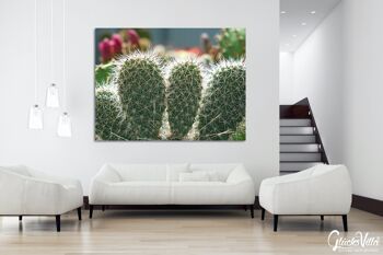 Papier peint : Monde de cactus cactus à 5 oreilles - plusieurs tailles - format paysage 4:3 - plusieurs tailles et matériaux - motif d'art photo exclusif sous forme de toile ou d'image en verre acrylique pour la décoration murale 10