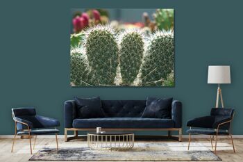 Papier peint : Monde de cactus cactus à 5 oreilles - plusieurs tailles - format paysage 4:3 - plusieurs tailles et matériaux - motif d'art photo exclusif sous forme de toile ou d'image en verre acrylique pour la décoration murale 11