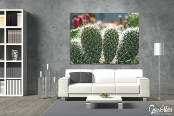 Papier peint : Monde de cactus cactus à 5 oreilles - plusieurs tailles - format paysage 4:3 - plusieurs tailles et matériaux - motif d'art photo exclusif sous forme de toile ou d'image en verre acrylique pour la décoration murale 12