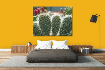 Papier peint : Monde de cactus cactus à 5 oreilles - plusieurs tailles - format paysage 4:3 - plusieurs tailles et matériaux - motif d'art photo exclusif sous forme de toile ou d'image en verre acrylique pour la décoration murale 13