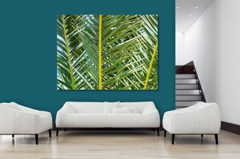 Papier peint : palmier 2 - plusieurs tailles - format paysage 4:3 - plusieurs tailles et matériaux - motif d'art photographique exclusif sous forme de toile ou d'image en verre acrylique pour la décoration murale 3
