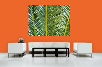 Papier peint : palmier 2 - plusieurs tailles - format paysage 4:3 - plusieurs tailles et matériaux - motif d'art photographique exclusif sous forme de toile ou d'image en verre acrylique pour la décoration murale 7
