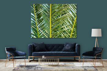 Papier peint : palmier 2 - plusieurs tailles - format paysage 4:3 - plusieurs tailles et matériaux - motif d'art photographique exclusif sous forme de toile ou d'image en verre acrylique pour la décoration murale 9