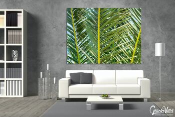 Papier peint : palmier 2 - plusieurs tailles - format paysage 4:3 - plusieurs tailles et matériaux - motif d'art photographique exclusif sous forme de toile ou d'image en verre acrylique pour la décoration murale 10