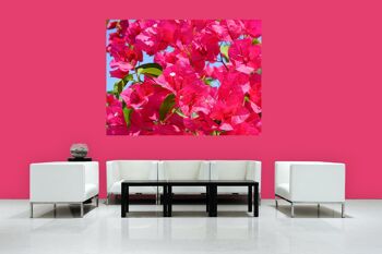 Papier peint : fleur de bougainvillier rose - plusieurs tailles - format paysage 4:3 - plusieurs tailles et matériaux - motif d'art photo exclusif sous forme de toile ou d'image en verre acrylique pour la décoration murale 2