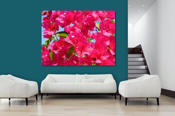 Papier peint : fleur de bougainvillier rose - plusieurs tailles - format paysage 4:3 - plusieurs tailles et matériaux - motif d'art photo exclusif sous forme de toile ou d'image en verre acrylique pour la décoration murale 3